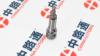 Engine Injection System Plunger Barrel